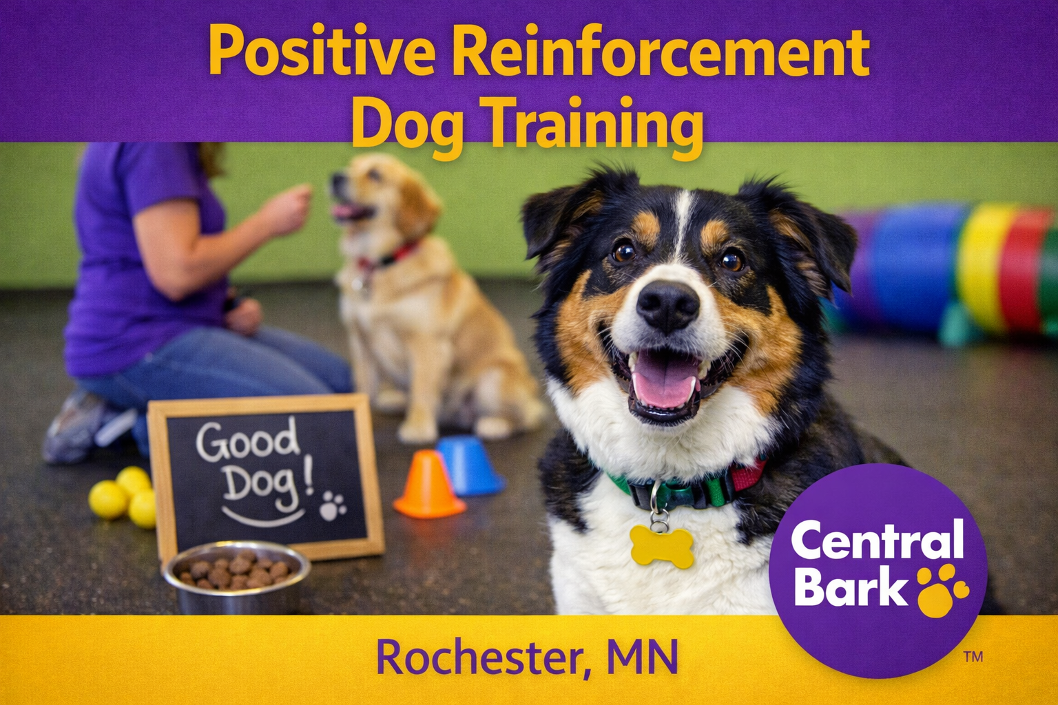 Happy dog receiving a treat during positive reinforcement training at Central Bark Rochester, MN