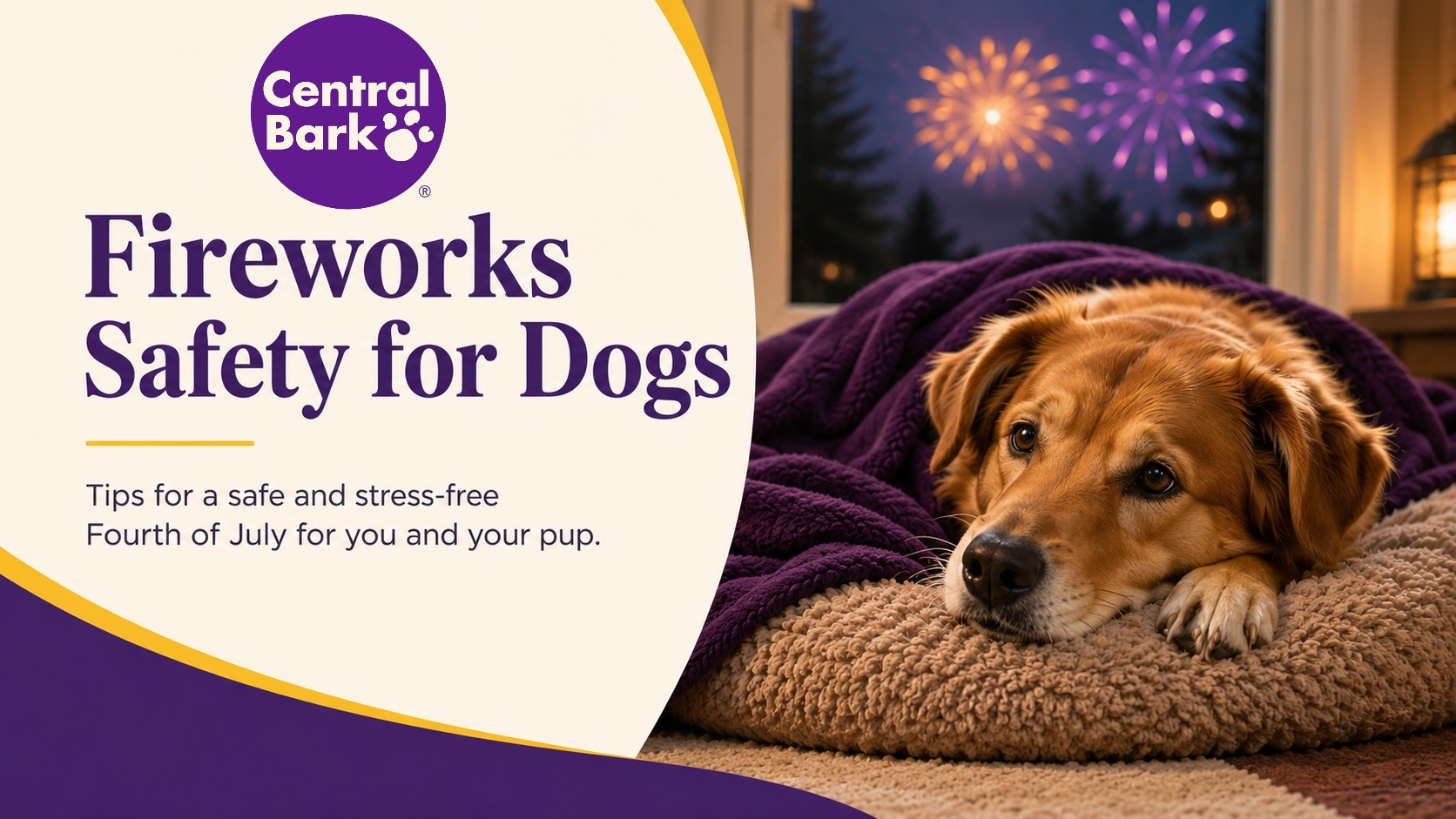 Dog resting indoors under a blanket while fireworks are visible outside, representing fireworks safety for dogs.