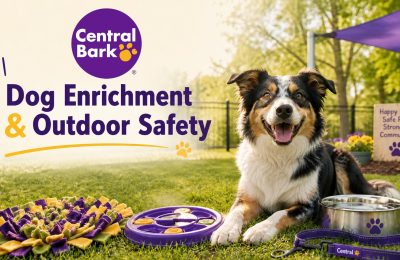 Happy dog outdoors with enrichment toys, water bowl, and leash, representing dog enrichment and outdoor safety.