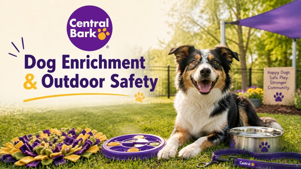 Happy dog outdoors with enrichment toys, water bowl, and leash, representing dog enrichment and outdoor safety.