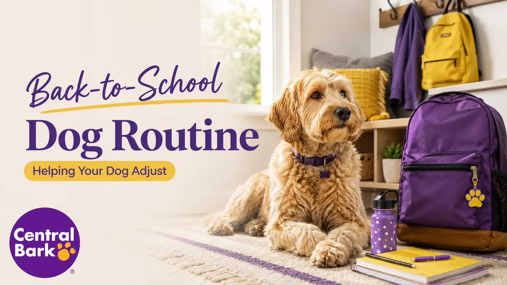 Dog resting near back-to-school supplies, representing routine changes and helping dogs adjust during the school year.