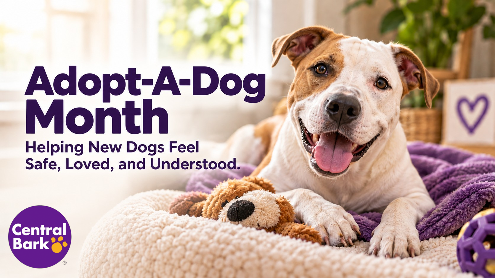 Happy adopted dog relaxing in a cozy home, representing Adopt-A-Dog Month and helping new dogs feel safe, loved, and understood.