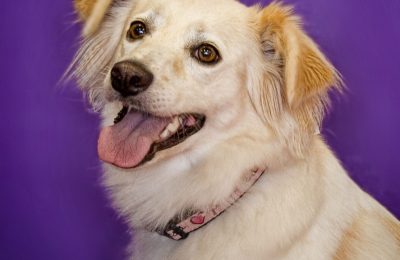 Congrats, Lilly!