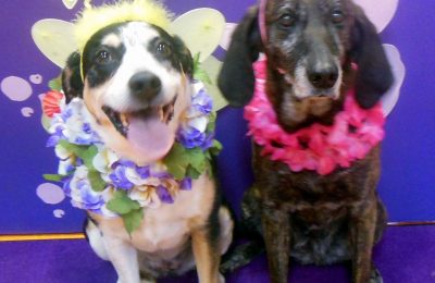Congrats Penny and Petula!