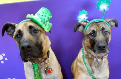 Congrats Diesel & Subie!