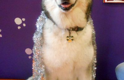 Congrats, Atka!