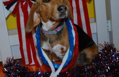 Congrats, Dixie!