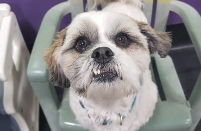 Congrats, Murphy B!