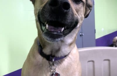 Congratulations, Daisy!