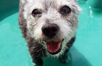 Congratulations, Mitzi!