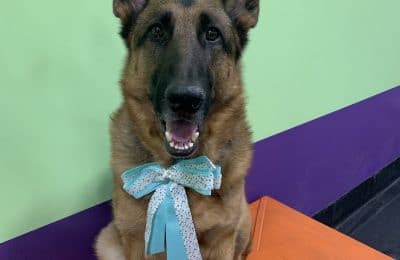 Congratulations, Jager!