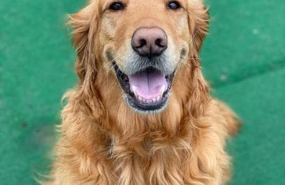Congratulations, Ruger!
