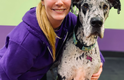January  Dog of the Month
