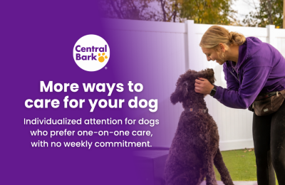 Coming Soon to Central Bark Sheboygan