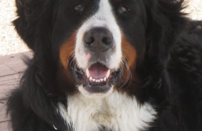 Congrats, Barney!