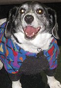 Congrats, Snoopy!