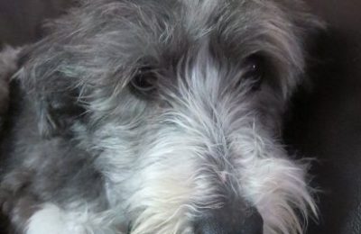 Hooray for Maggie!!