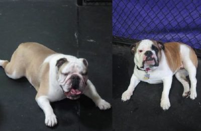 Woot Woot Willie & Stella!!