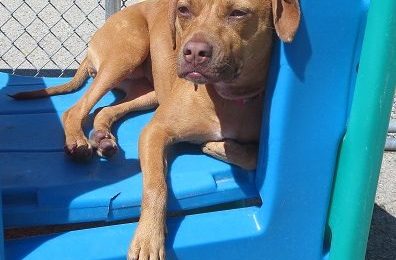 Hooray for Sadie!