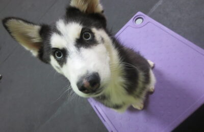 Oakley