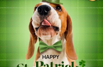 dog with green hat and bow