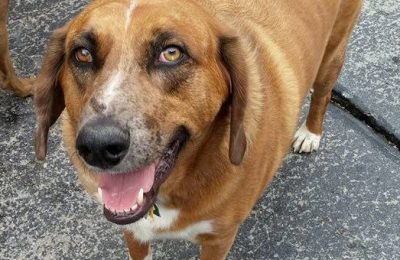 Congratulations, Rusty!