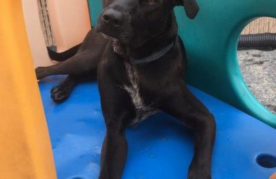 Congratulations, Bentley G!