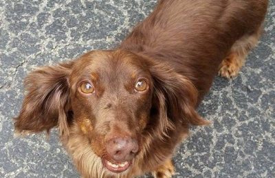 Congratulations Willie