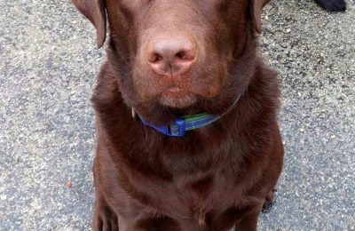 Congratulations, Chai!