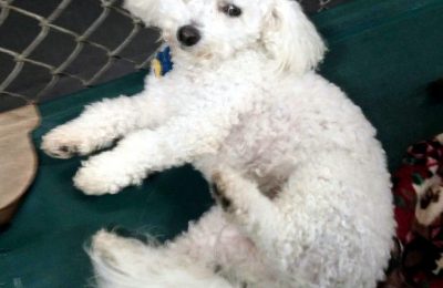 Congratulations, Bentley G!