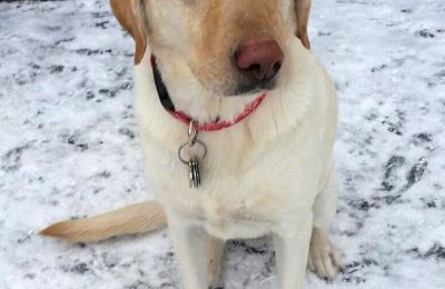 Congratulations, Lilly M!