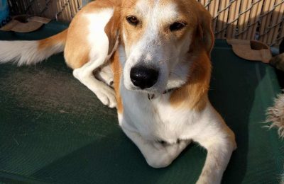 Congratulations, Peanut!