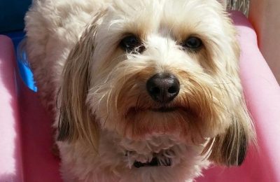 Congratulations, Harvey!