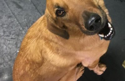 Congratulations, Rosie!