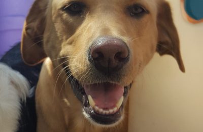 Congratulations, Tulie!