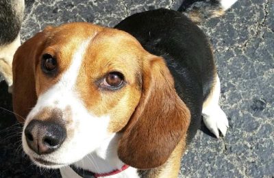 Congratulations, Lucy B!!