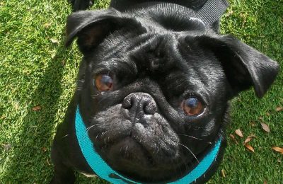 Congrats, Otis!