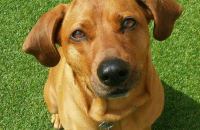 Congratulations, Lola!