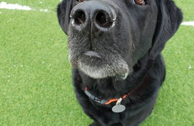 Congratulations Mr. Smokey!