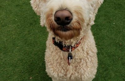 Congratulations, Tucson!