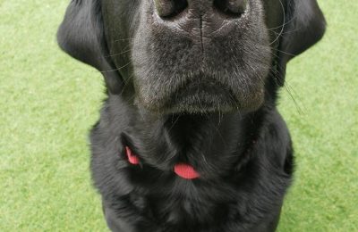 Congratulations, Charlie!