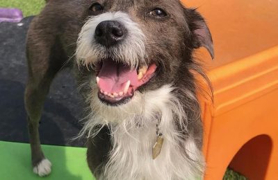 Congratulations, Olive!