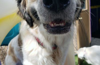 Congratulations, Bailey!!