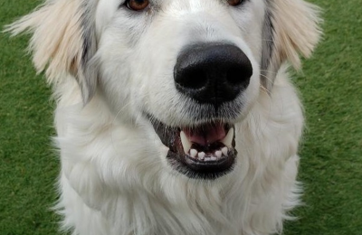 Congratulations, Maggie!