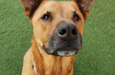 Congratulations, Bruce!!