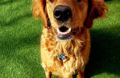 Congratulations to Miss Shelby!