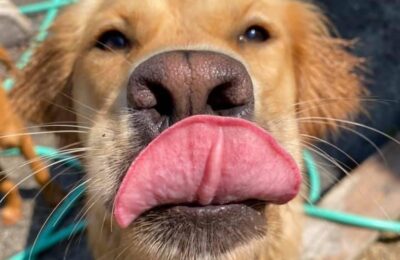 Congratulations Rosie B!