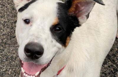 Congratulations Captain!