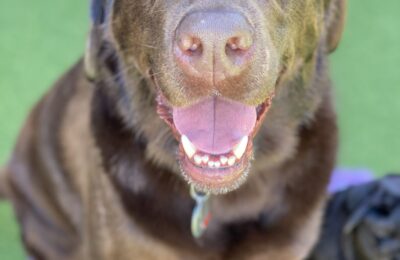 Congratulations Henry W.!