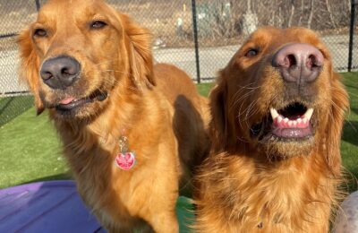 DOM for January 2022!